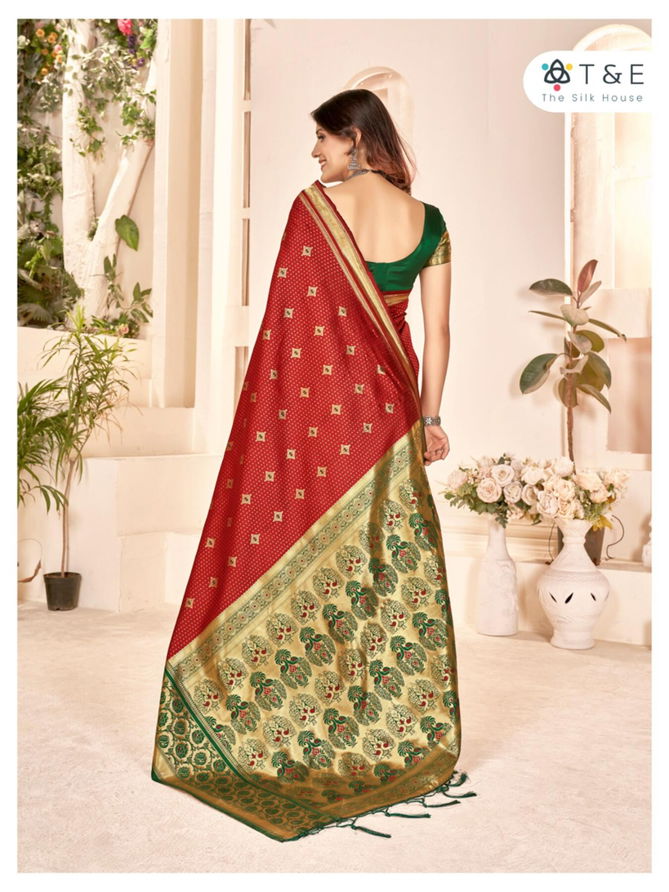 Aaradhya By T And E Party Wear Sarees Catalog